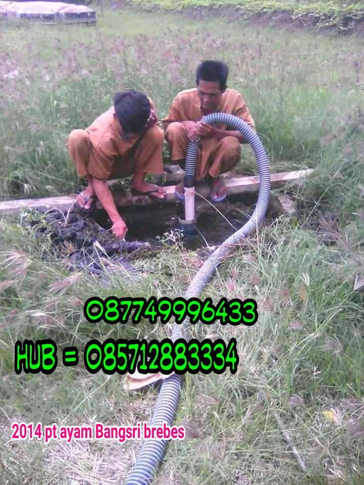 SEDOT WC TEGAL TERMURAH