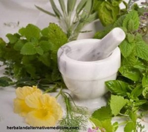 Pengobatan Alat Vital Semarang